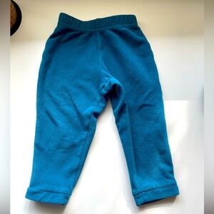 Patagonia fleece pants